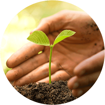 Expanding Your Ability to Receive & Create Miracles